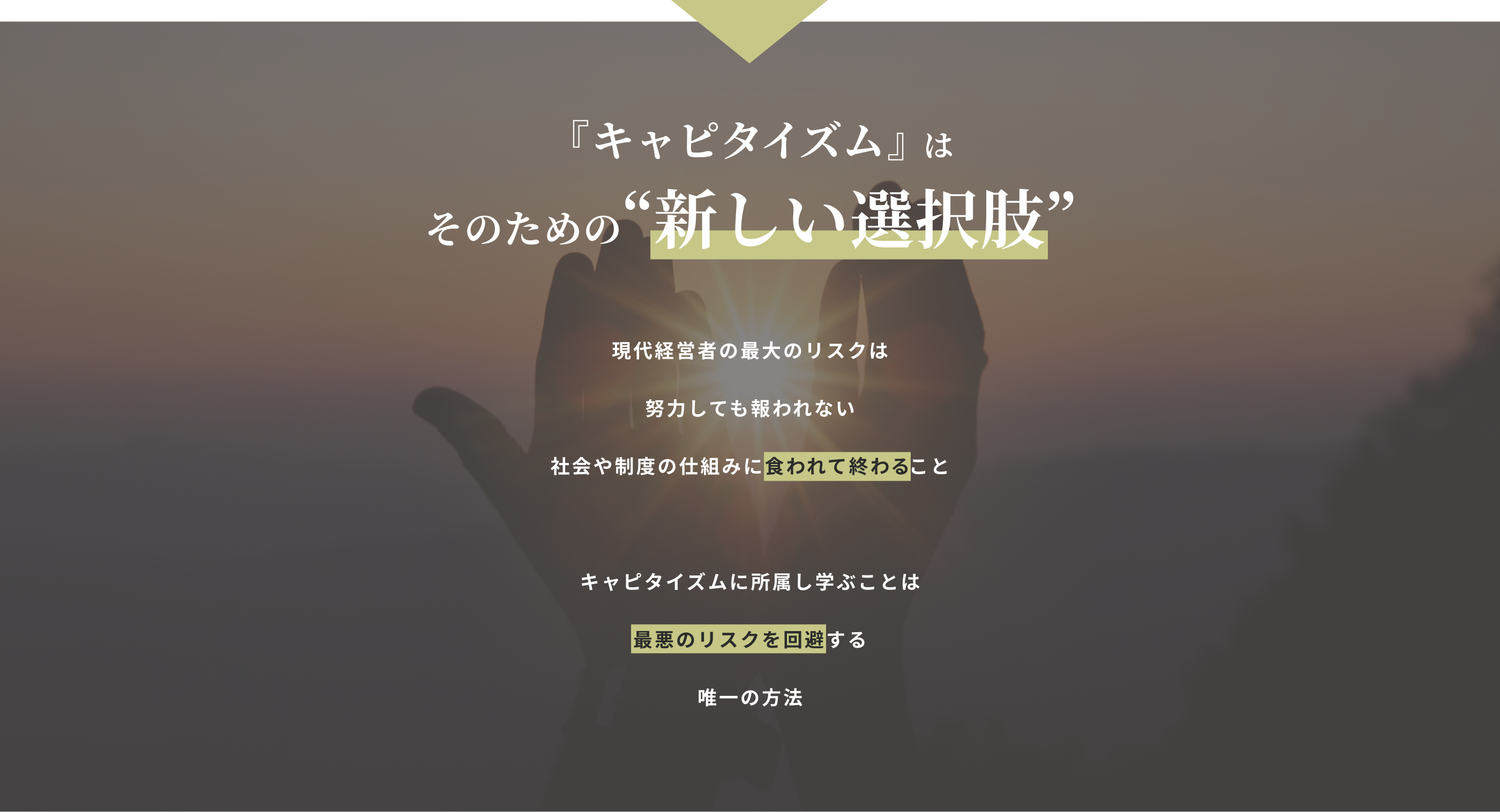 『キャピタイズム』はそのための新しい選択肢